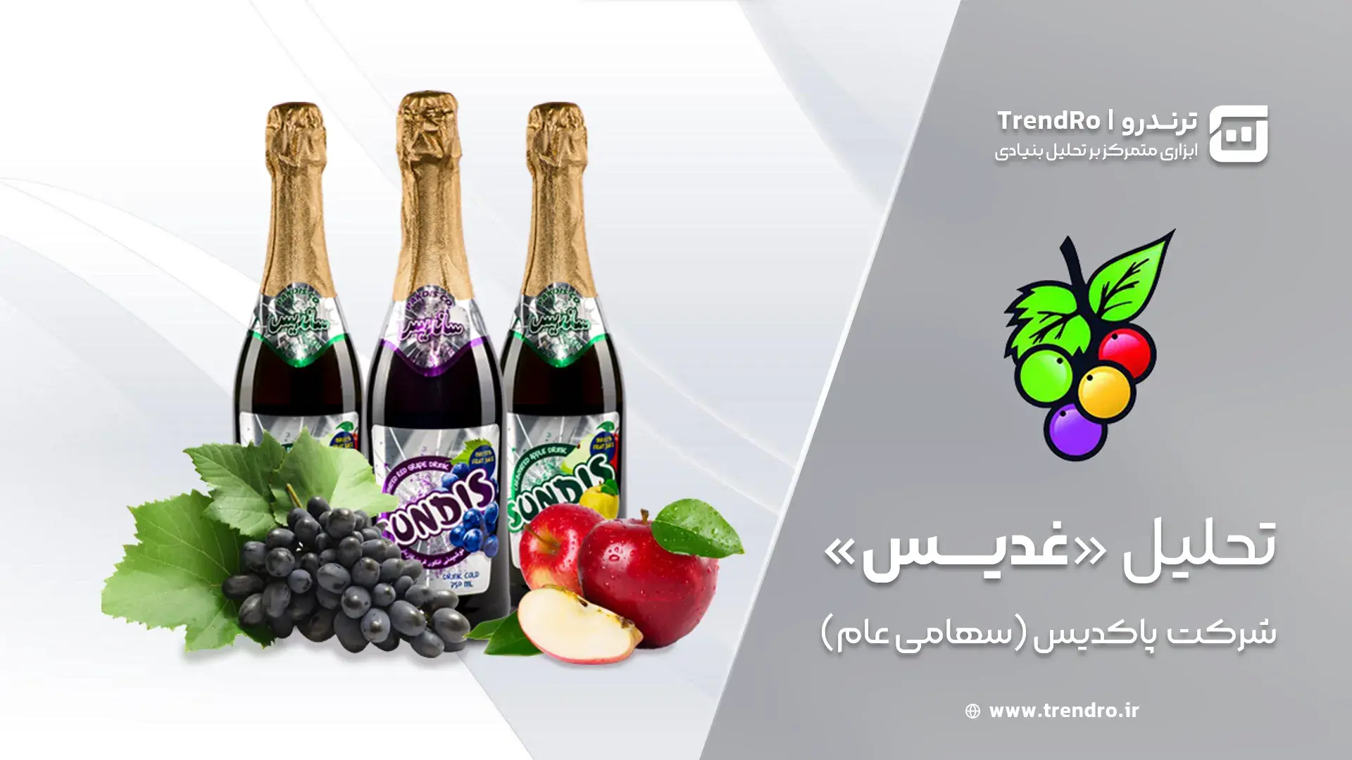 تحلیل و ارزشگذاری بنیادی غدیس (شرکت پاکدیس) - آبان ۱۴۰۴